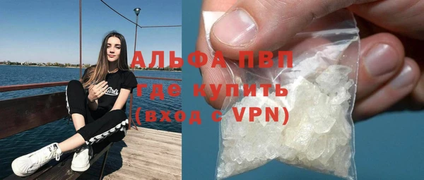 сатива Белокуриха