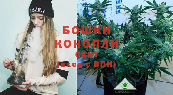 шишки Беломорск