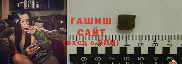 сатива Белокуриха