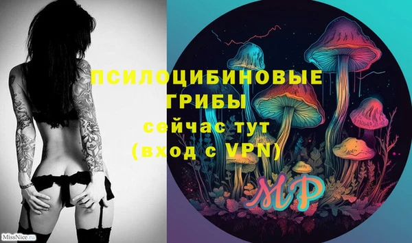 ешки Аркадак
