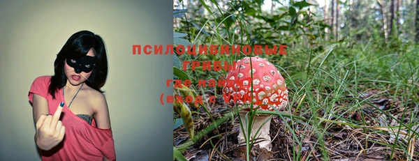 крисы Армянск