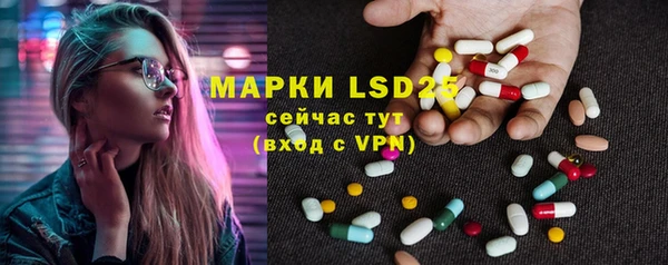 ешки Аркадак