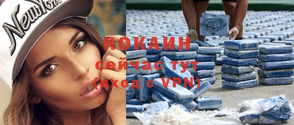 ешки Аркадак