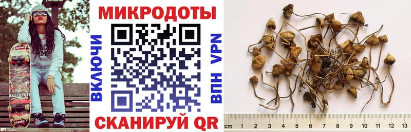Галлюциногенные грибы GOLDEN TEACHER  Купить  Семилуки 